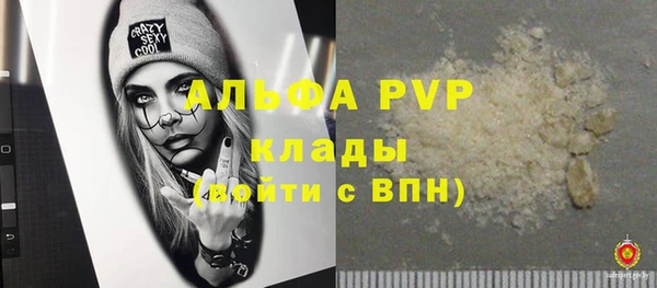 тгк Магас
