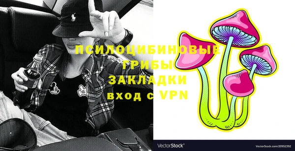 твердый Мегион