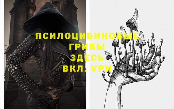 ALPHA PVP Медвежьегорск