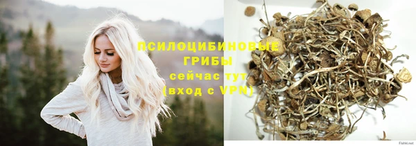 ALPHA PVP Медвежьегорск